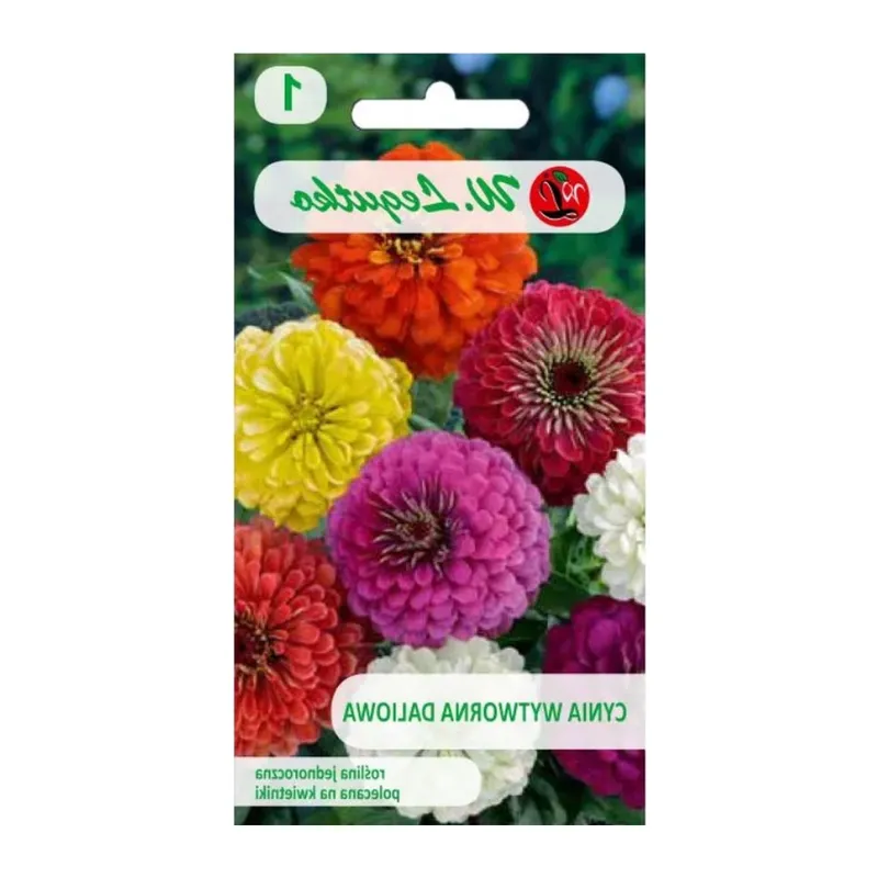 Cynia Wytworna Daliowa Mieszanka Kolorów Kwiaty Ogrodowe GARDIVA 1,5 g
