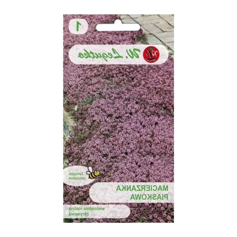 Macierzanka Piaskowa Bylina Ogrodowa Wieloletnia GARDIVA 0,1 g