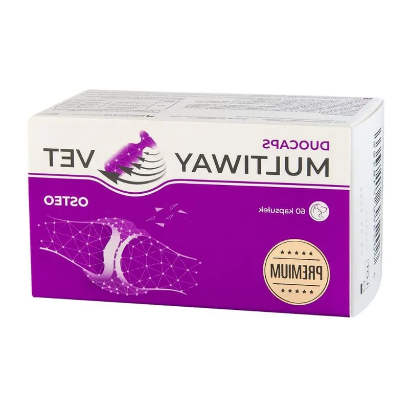 Suplement Dla Psa Osteoporozie Wsparcie Stawów ZOOJOY 60 Tabl