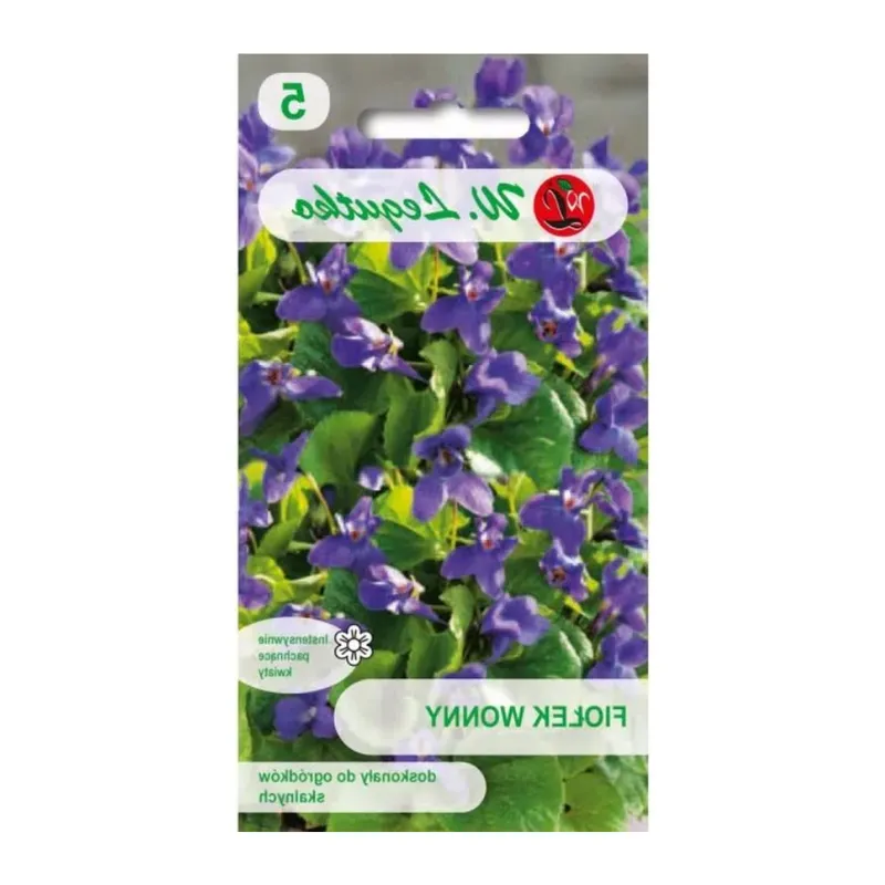 Fiołek (Viola) Wonny – - Fioletowy