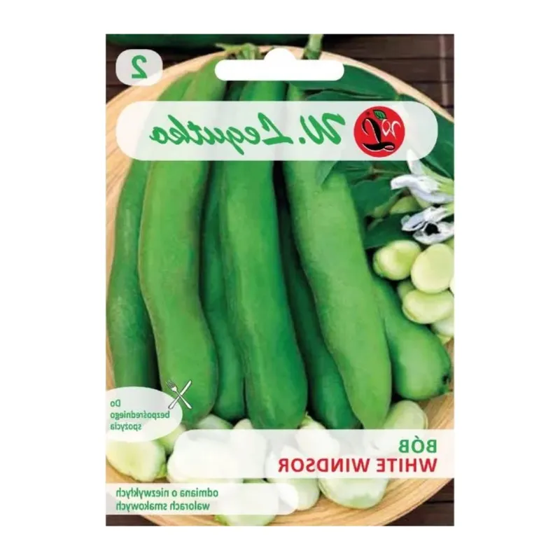 Bób Średnio Późny Windsor Odmiana Ogrodowa GARDIVA 50 g - Biały