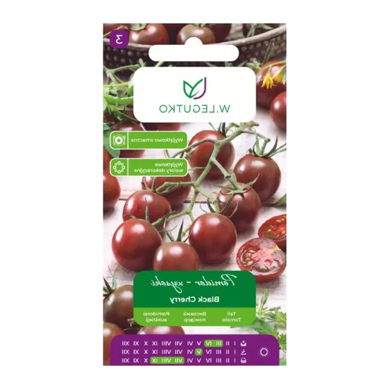 Nasiona Pomidor Gruntowy Wysoki Black Cherry Purpurowo Brązowe GARDIVA 0,20