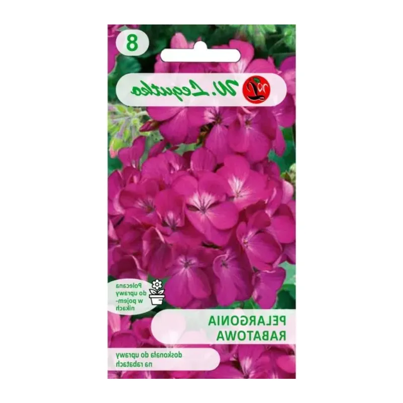 Pelargonia Rabatowa Gama F1 Kwiaty GARDIVA 0,03 g Nasiona - Fioletowe