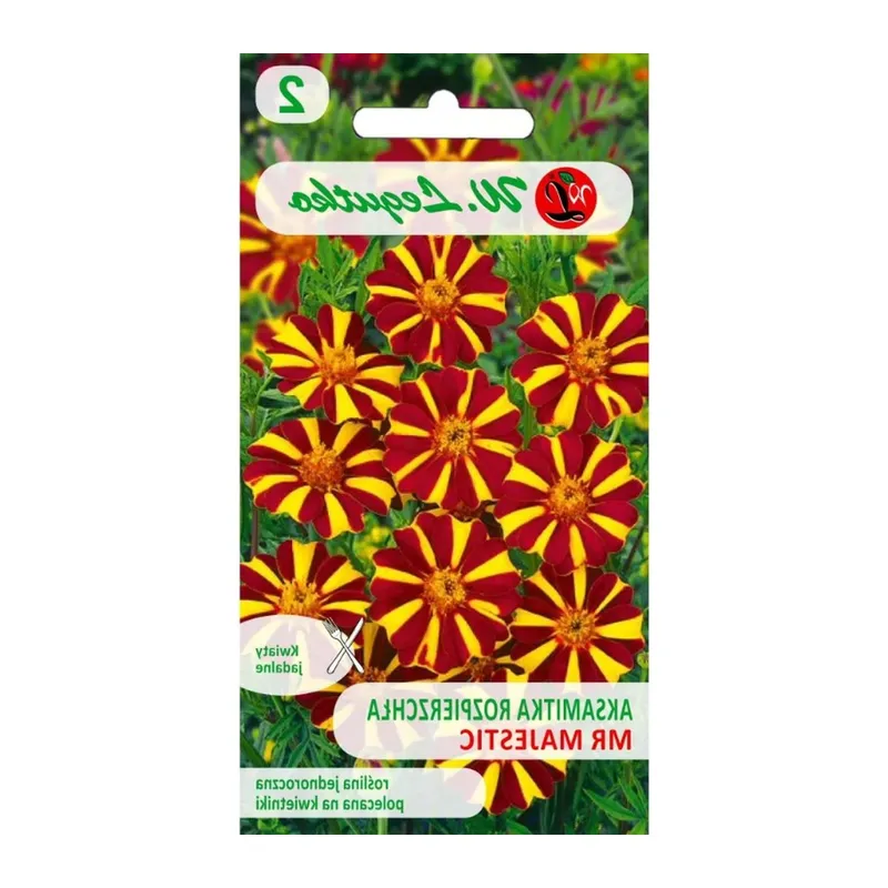 Nasiona Aksamitka Rozpierzchła Mr Majestic Mahoniowo 0,30 g GARDIVA - Brązowe