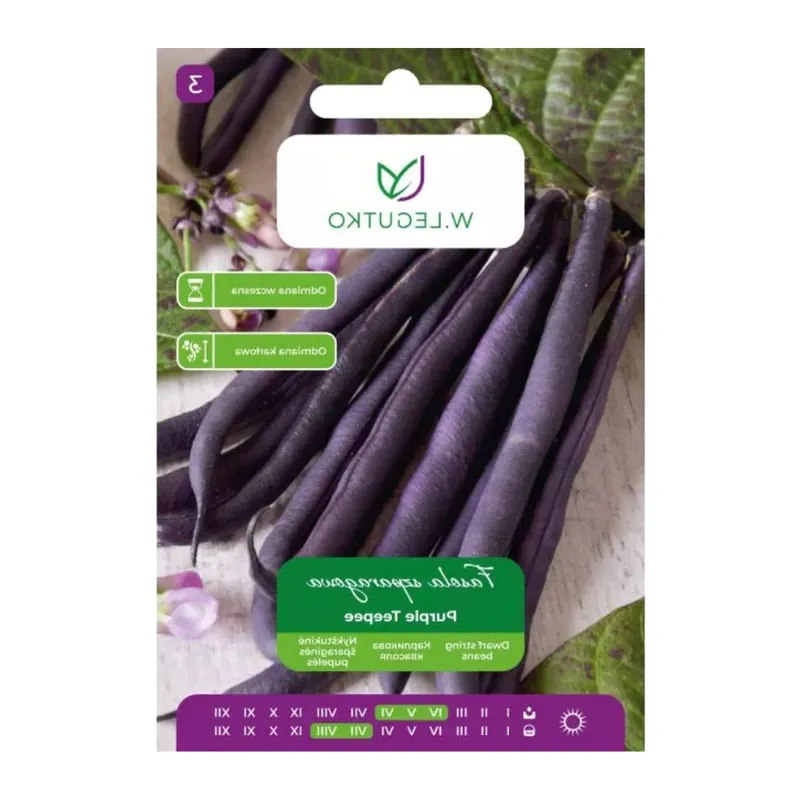 Fasola Szparagowa Karłowa Fioletowostrąkowa GARDIVA Purple Teepee 40 g