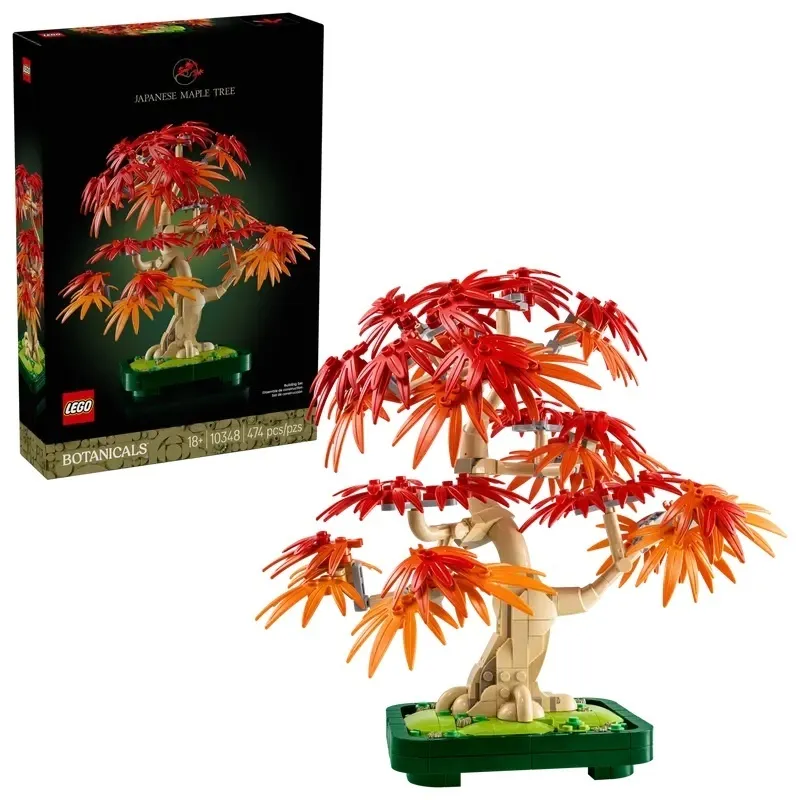 Botanicals Klon Palmowy Bonsai