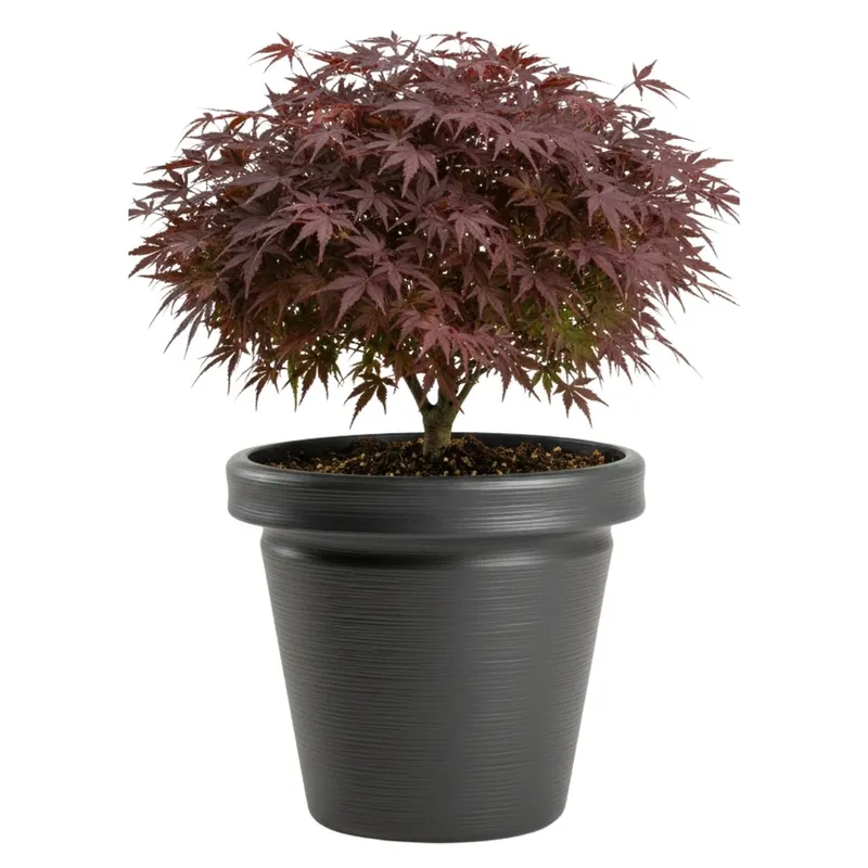 Donica Srtia Riflo Antracyt H40X46 cm