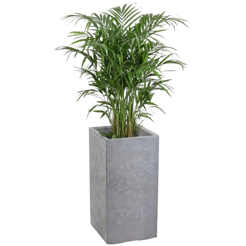 Donica Betonique Na Kółkach Beton 30X30XH60 cm - Szary