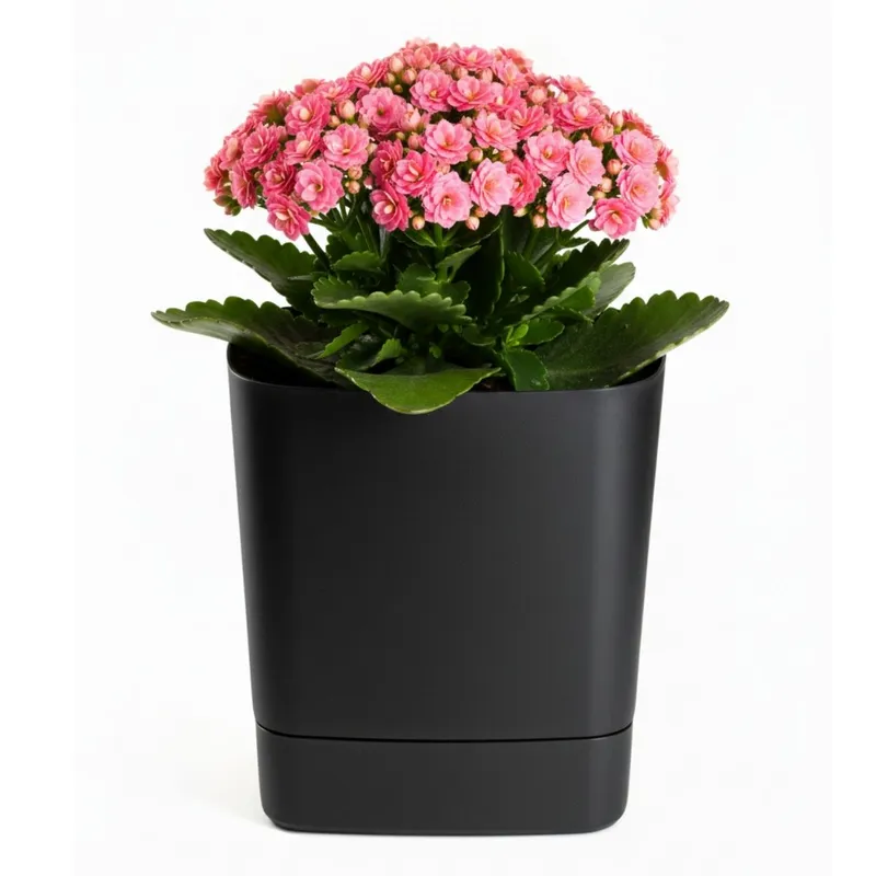 Donica Z Podstawką CUBI Recykling 19x19 cm - Czarna