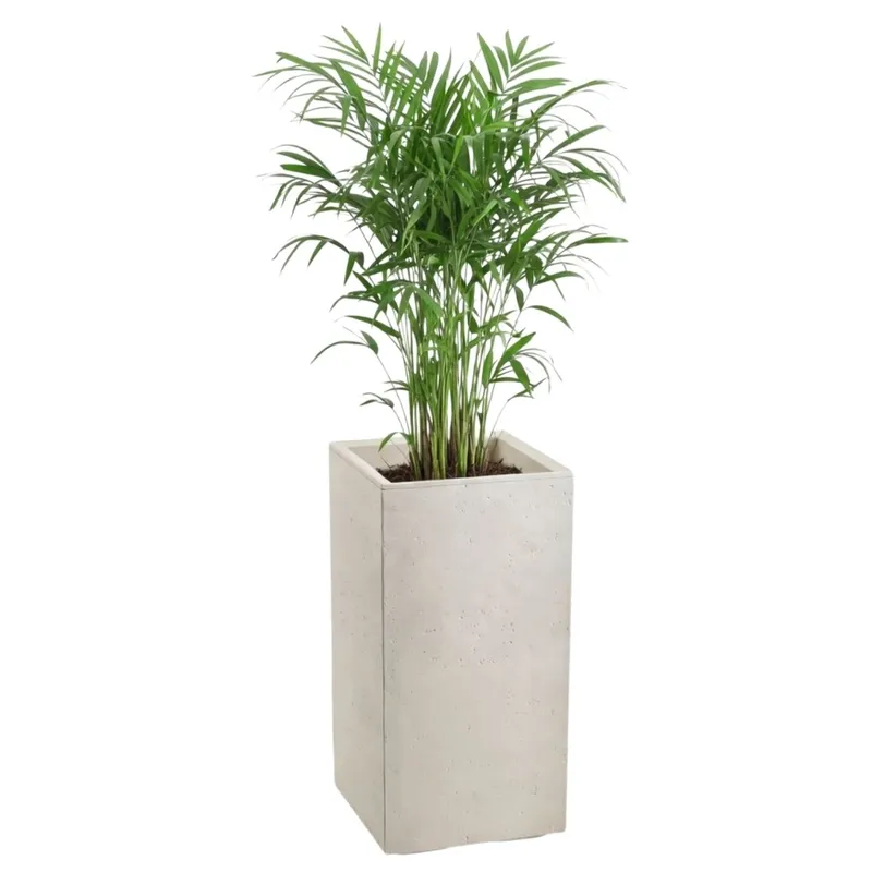 Donica Betonique Na Kółkach Beton Recykling Beż 30X30XH60 cm