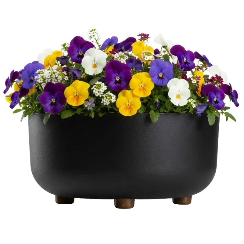 Misa TERRA Na Nóżkach Recykling H14,4X29,7 cm - Czarna