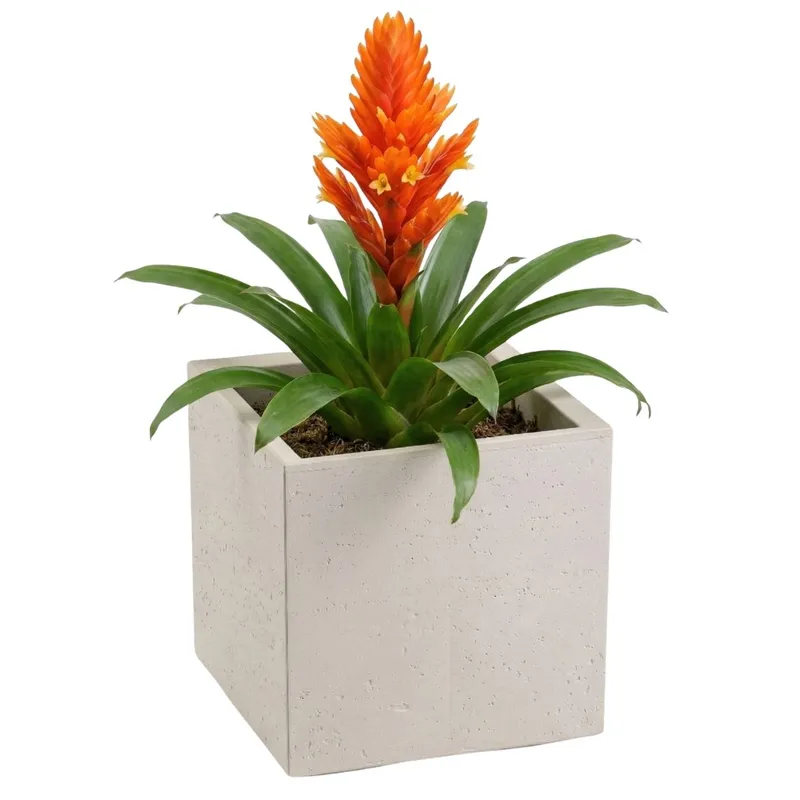 Donica Betonique Na Kółkach Beton Recykling Beż 30X30XH30 cm