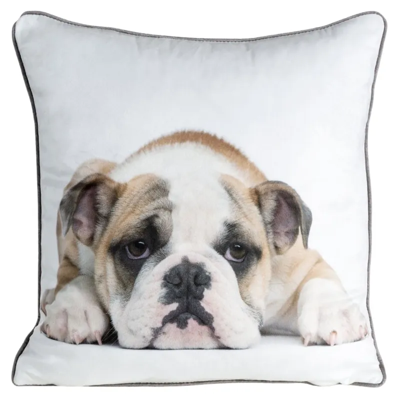 Poszewka ANIMAL/81 45x45 cm Buldog