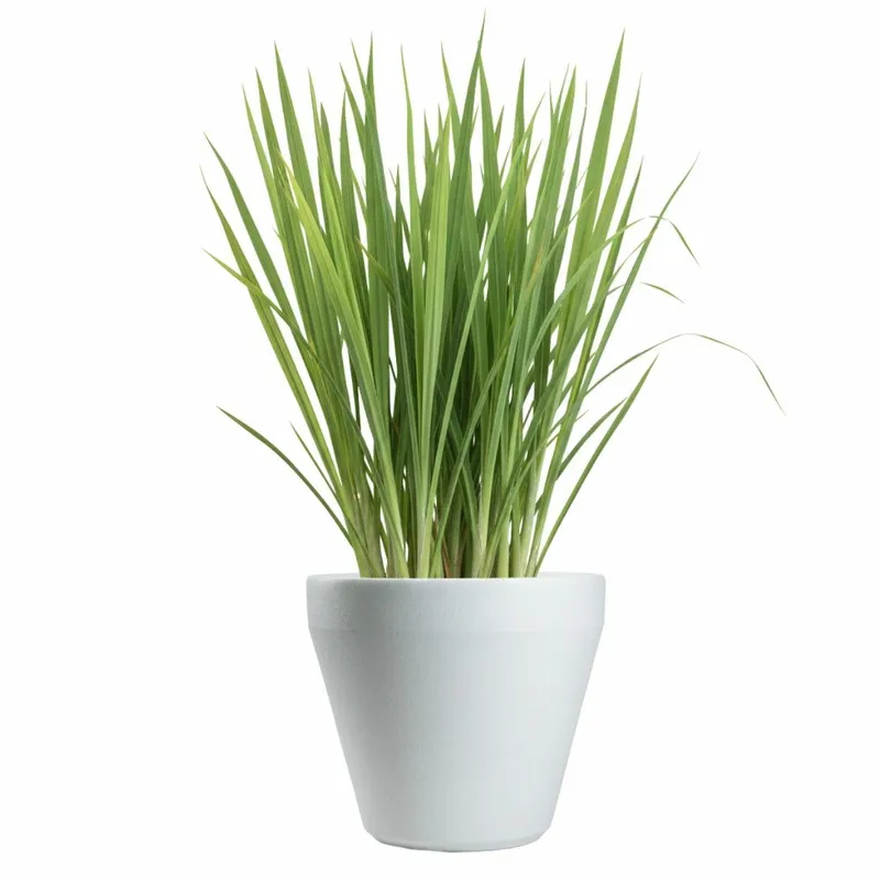 Donica Ogrodowa Purea H34,9X39,5 cm - Biała