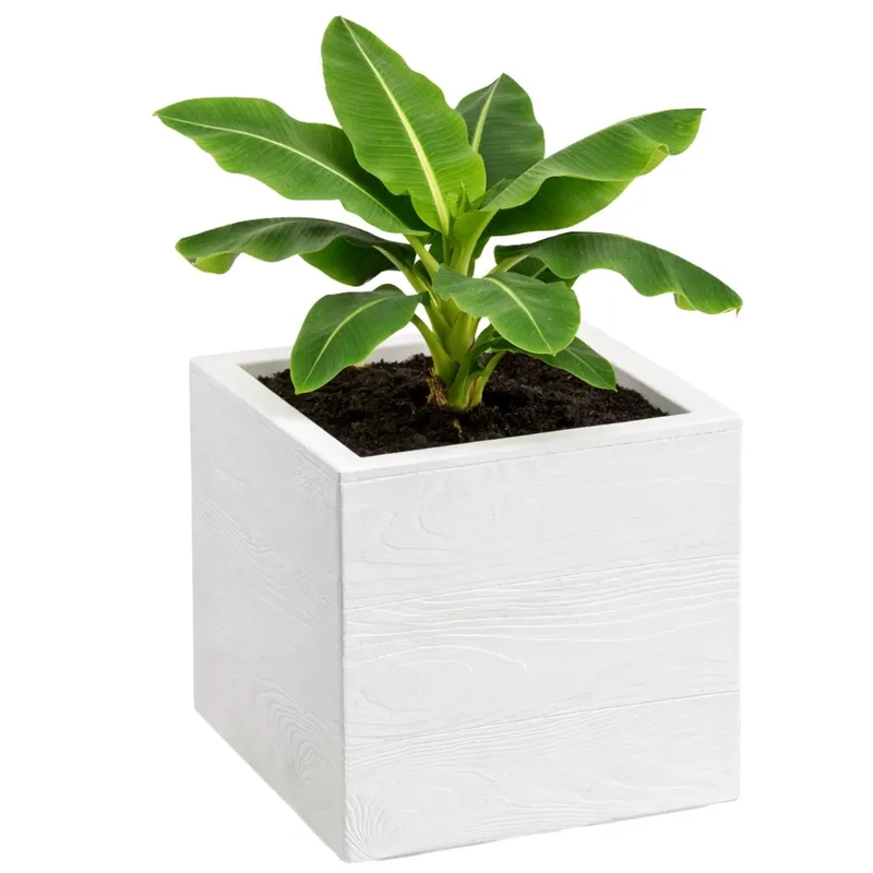 Donica Betonique Na Kółkach Deska Recykling 30X30XH30 cm - Kremowy