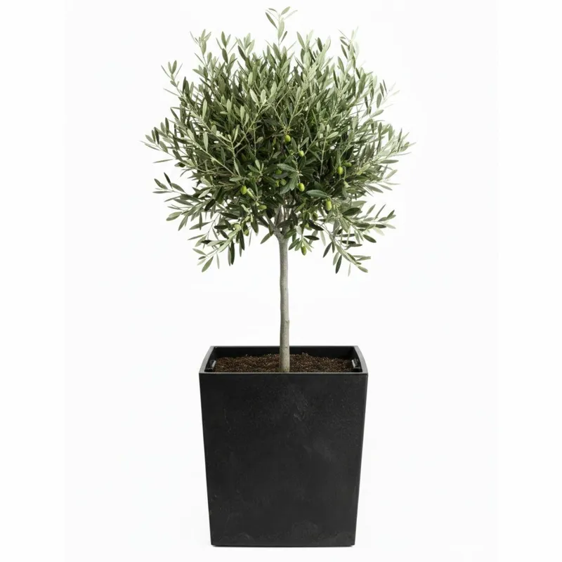 Donica Flore Beton H41X39,5X39,5 cm - Czarny