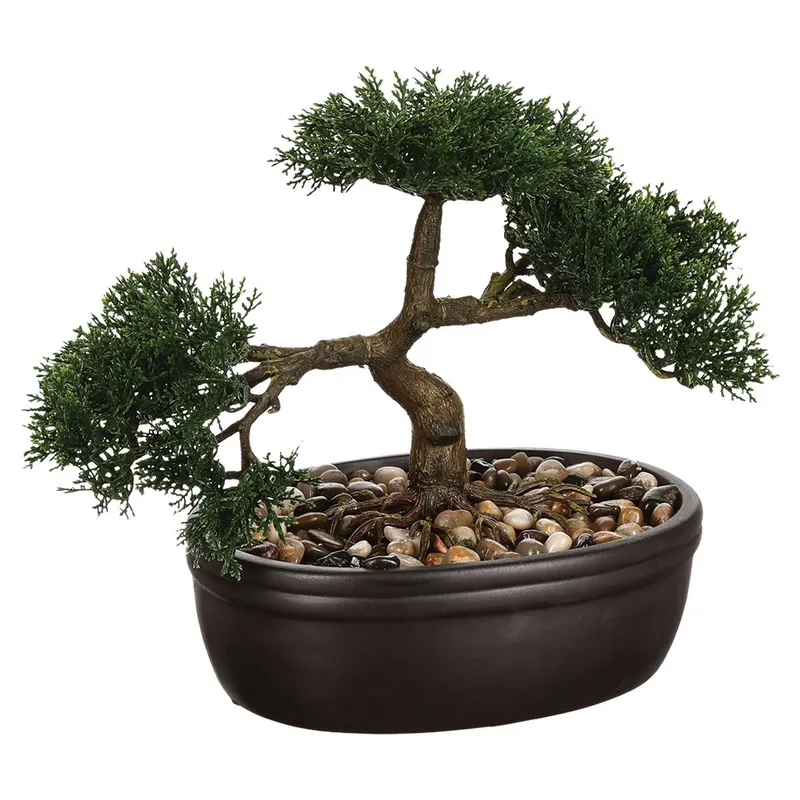 Drzewko Bonsai W Czarnej Doniczce 23 cm