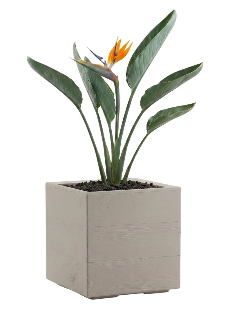 Donica Betonique Na Kółkach Deska Recykling Beż 30X30XH30 cm