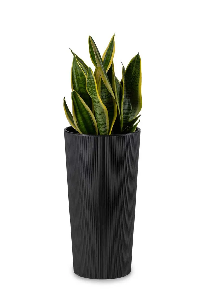 Donica Urbanika ECO H36 cm - Czarny