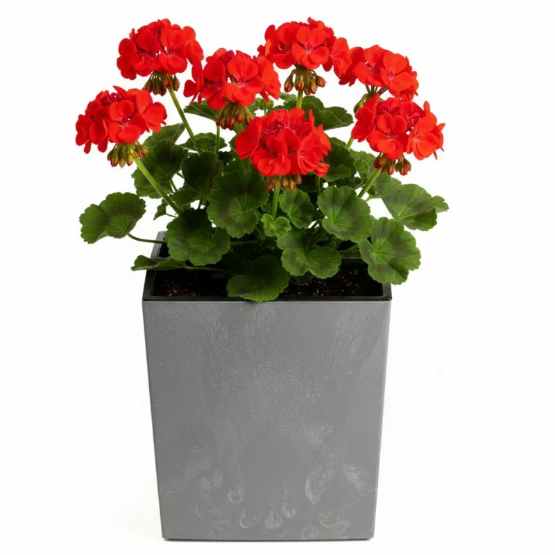 Donica Flore Beton H30,5X29,5X29,5 cm - Szary