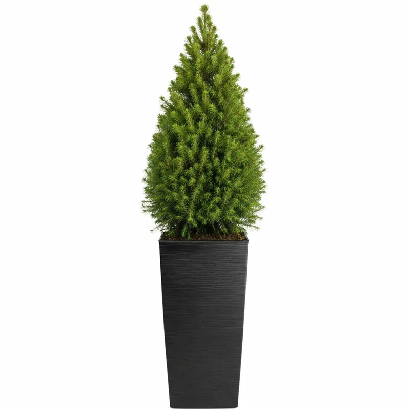 Donica Porto Riflo H75X39,6X39,6 cm - Czarna