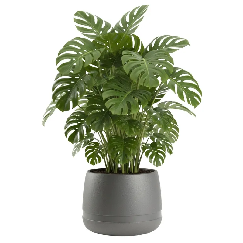 Donica LUNA WAZA Antracyt 48 cm