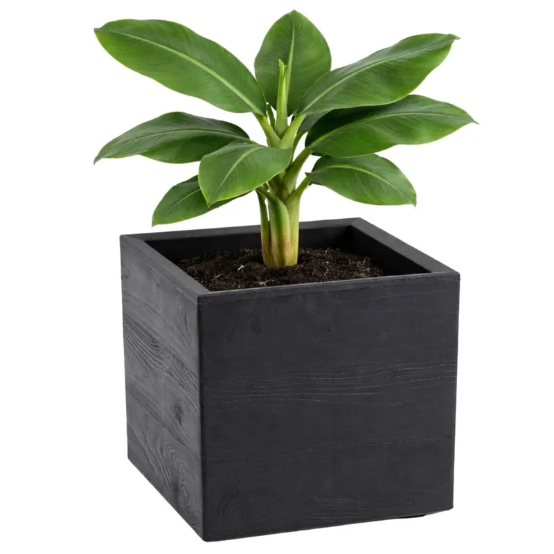 Donica Betonique Na Kółkach Deska Recykling 30X30XH30 cm - Czarny
