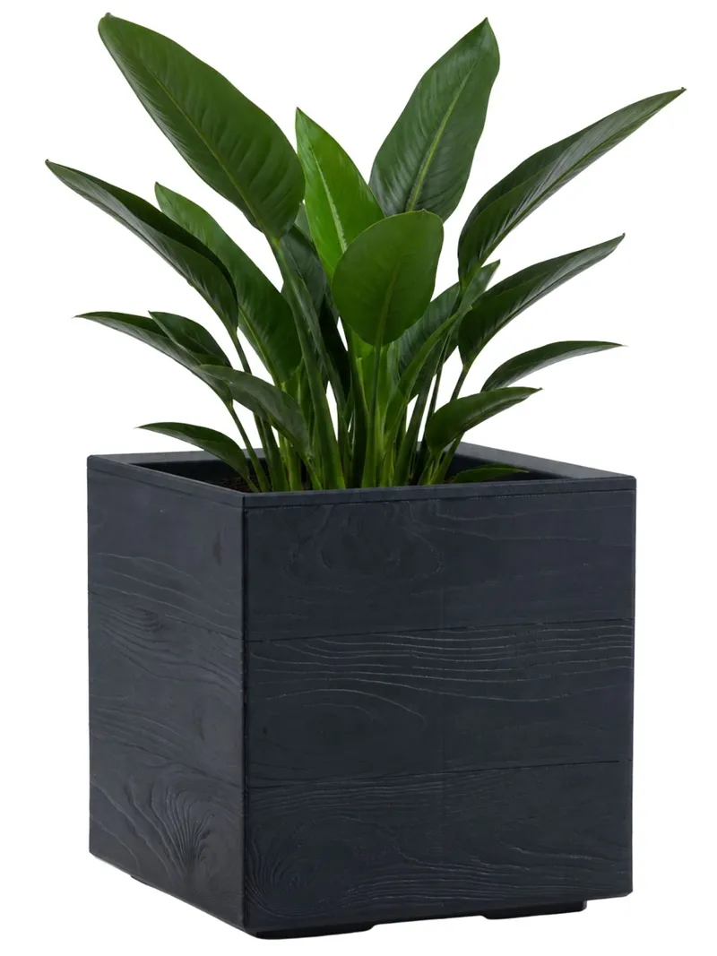 Donica Betonique Na Kółkach Deska Recykling Antracyt 30X30XH30 cm