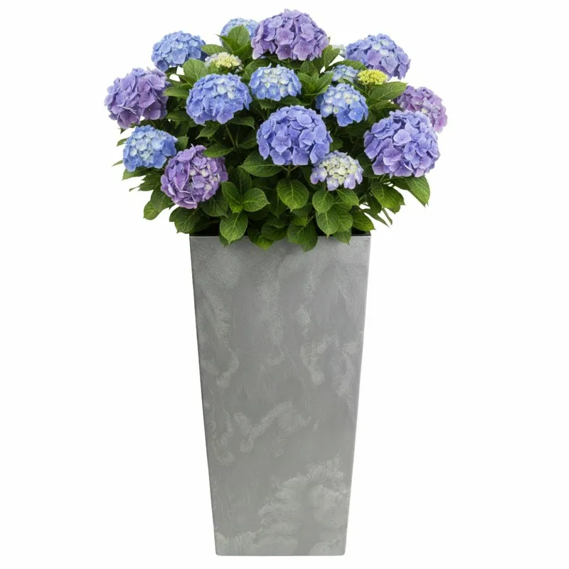 Donica Porto Beton H75X39,6X39,6 cm - Szary