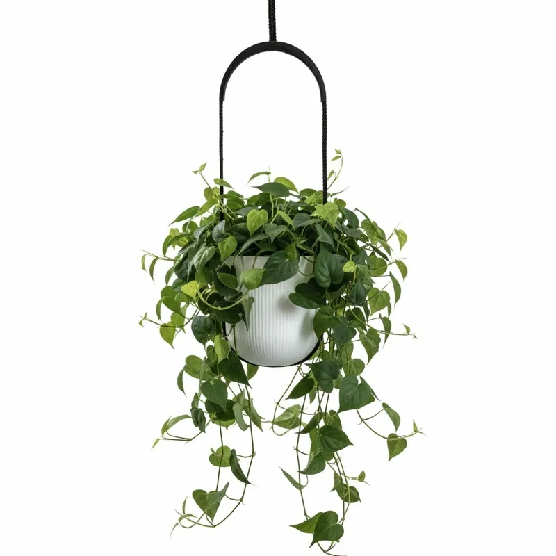 Donica Wisząca AERA HANG 17,9 cm - Biała