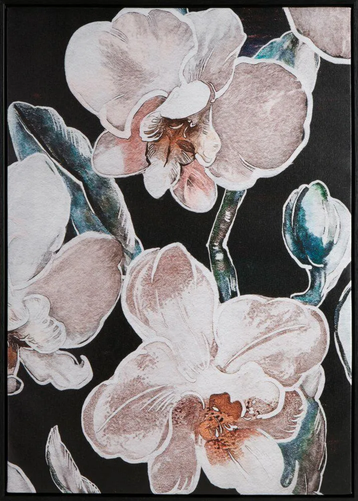 Obraz 638/B 50x70 cm Kwiaty Storczyki