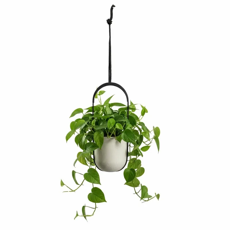Donica Wisząca AERA HANG Recykling Beż 17,9 cm