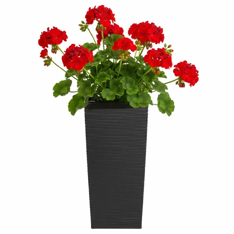 Donica Porto Riflo H36X19X19 cm - Czarna