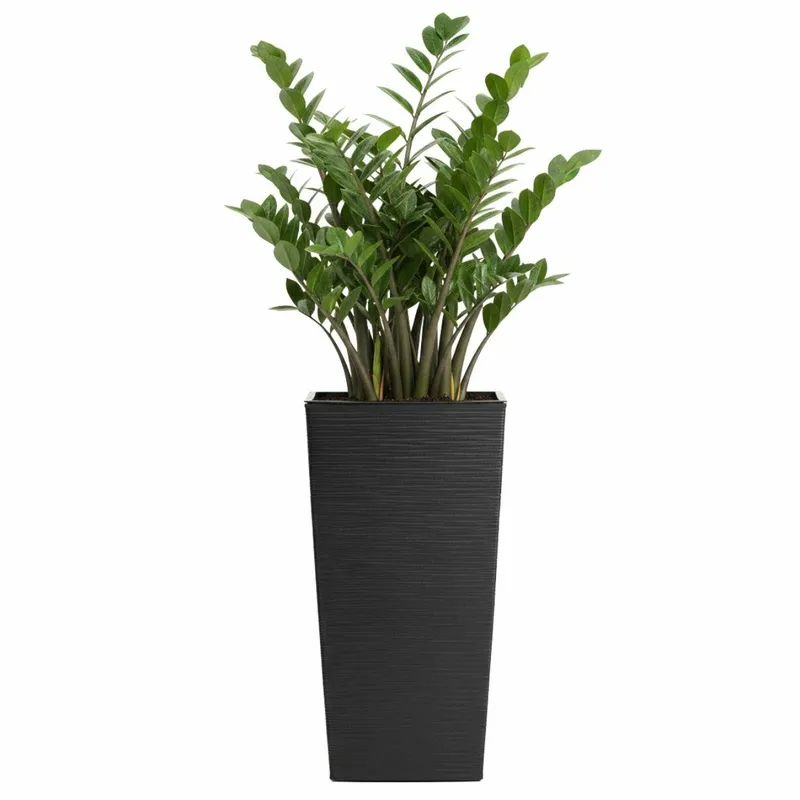 Donica Porto Riflo H46X25X25 cm - Czarna