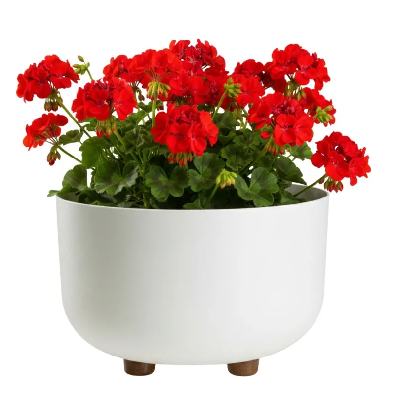 Misa TERRA Na Nóżkach Recykling H17X26,9 cm - Kremowa