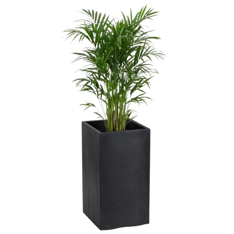 Donica Betonique Na Kółkach Recykling 30X30XH60 cm - Czarny