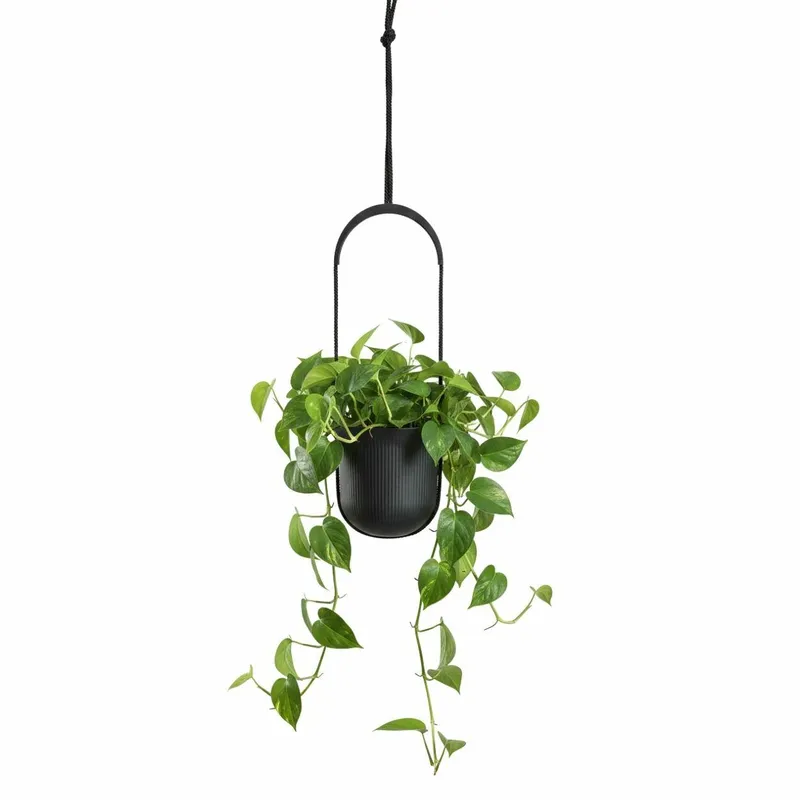 Donica Wisząca AERA HANG Recykling Antracyt 17,9 cm