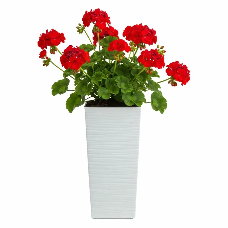Donica Porto Riflo H36,6X18,9X18,9 cm - Biała