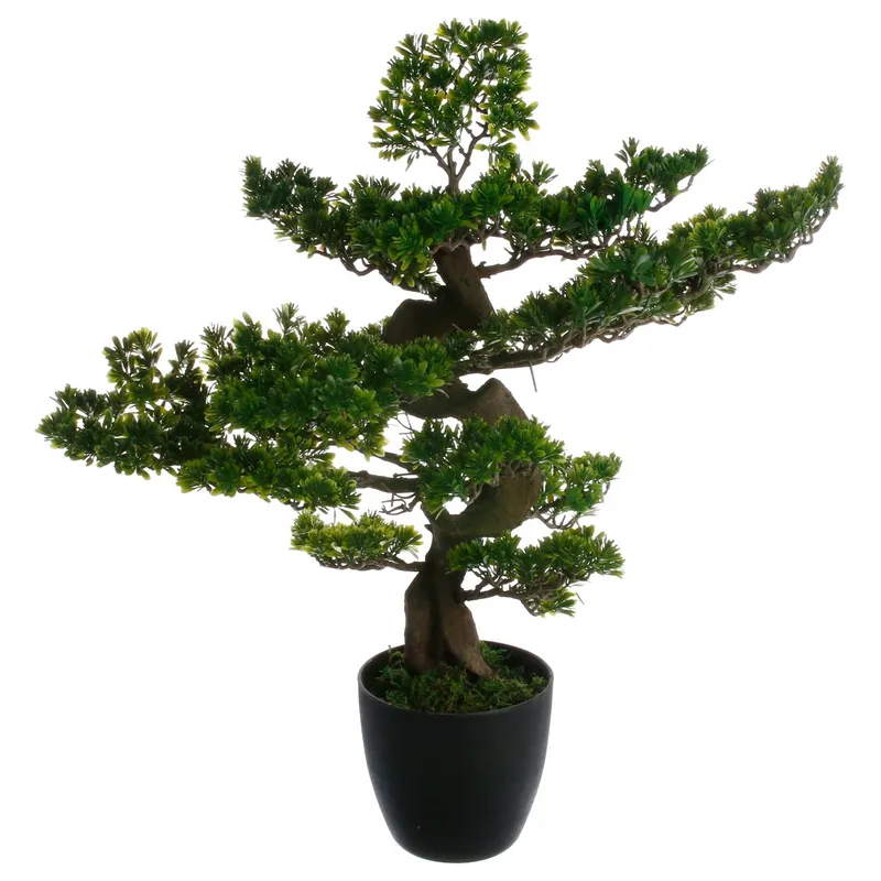 Drzewko Bonsai W Czarnej Doniczce 80 cm