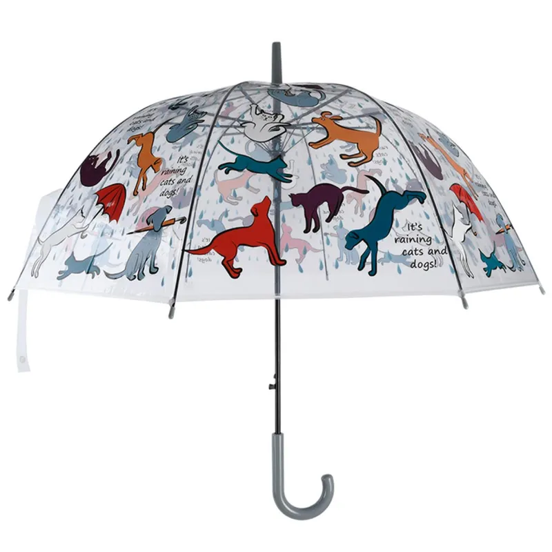 Parasolka Transparentna „It’s Raining