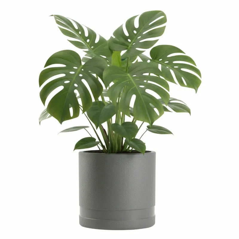 Donica LUNA WALEC Antracyt 30,8 cm