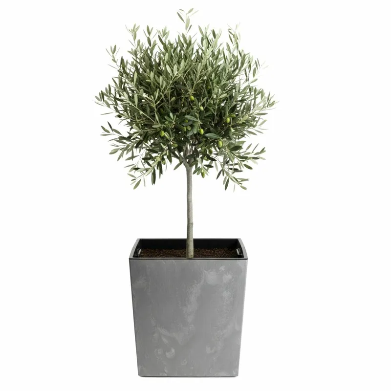 Donica Flore Beton H41X39,5X39,5 cm - Szary