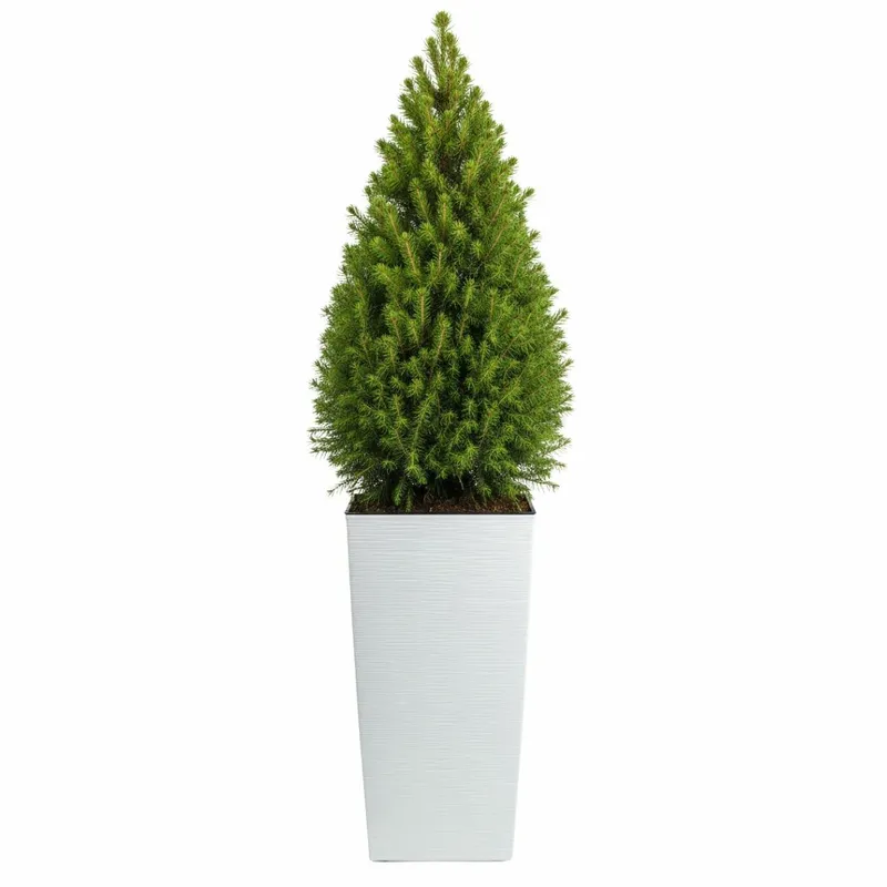 Donica Porto Riflo H75X39,6X39,6 cm - Biała