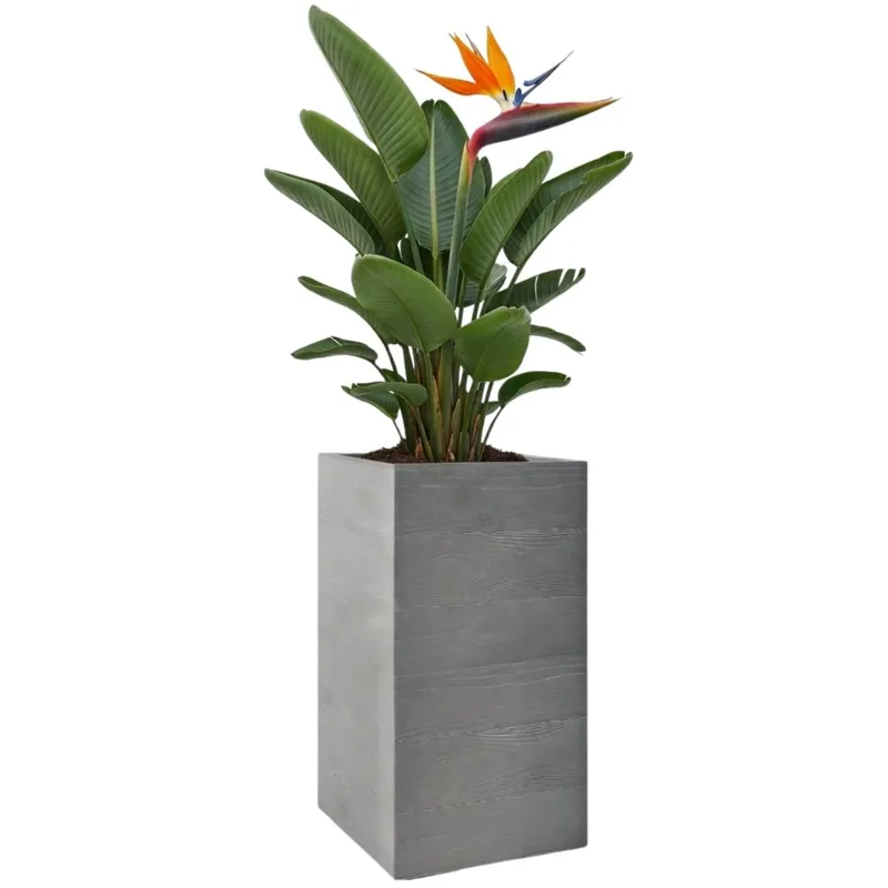 Donica Betonique Na Kółkach Deska Recykling 30X30XH60 cm - Szara