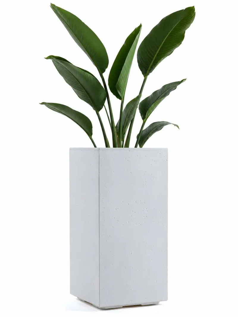 Donica Betonique Na Kółkach Recykling Beton 30X30XH60 cm - Kremowy