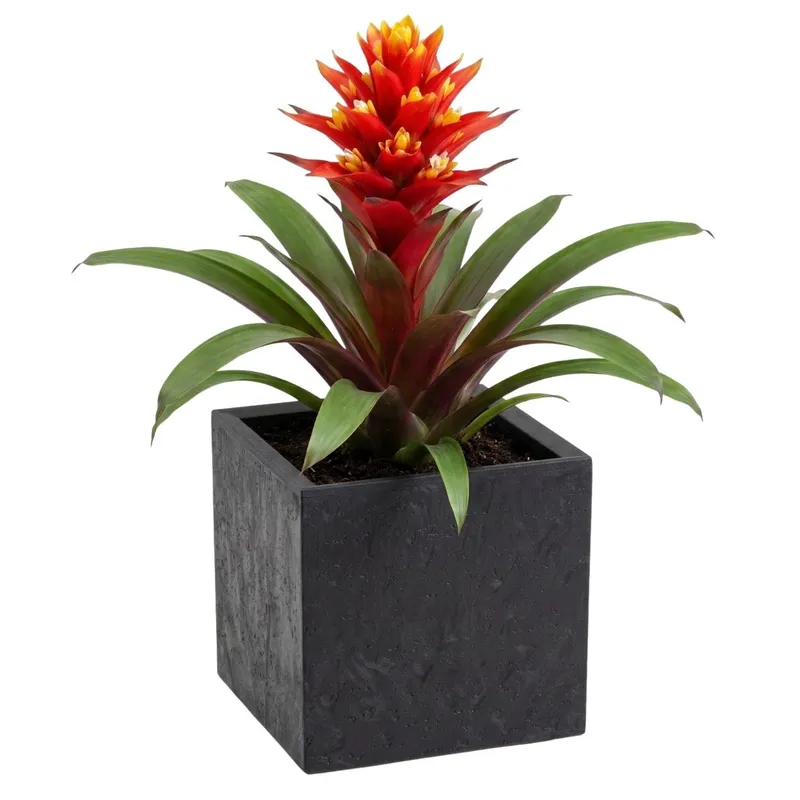Donica Betonique Na Kółkach Beton 30X30XH30 cm - Czarny