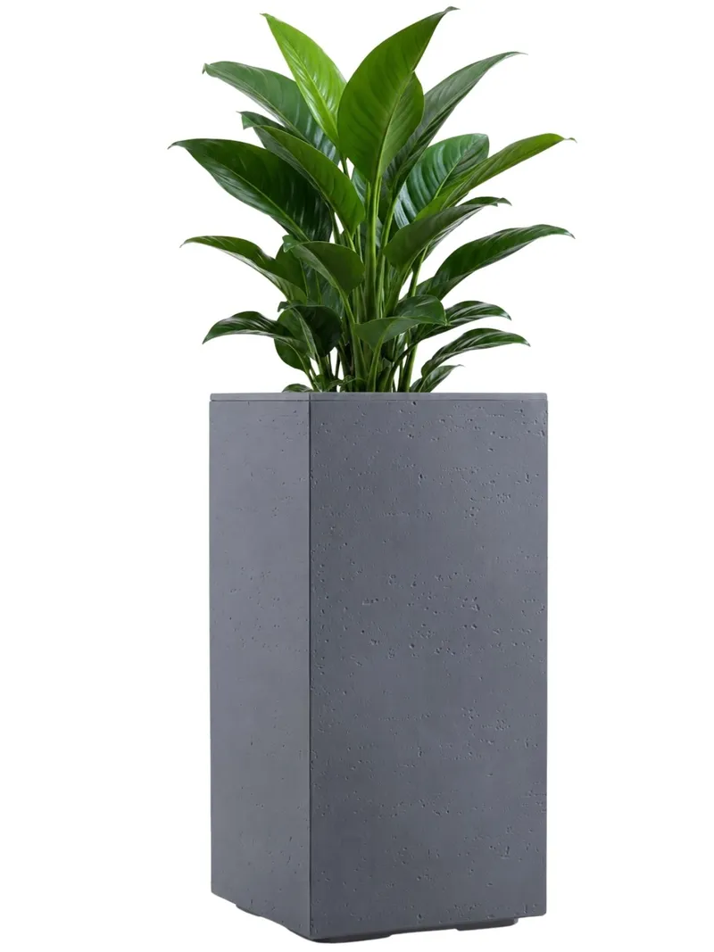 Donica Betonique Na Kółkach Recykling Beton 30X30XH60 cm - Szary