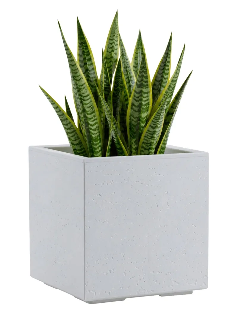 Donica Betonique Na Kółkach Recykling Beton 30X30XH30 cm - Kremowy