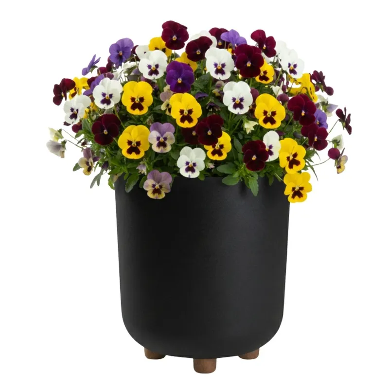 Donica TERRA Na Nóżkach Recykling H27,4X24,2 cm - Czarna