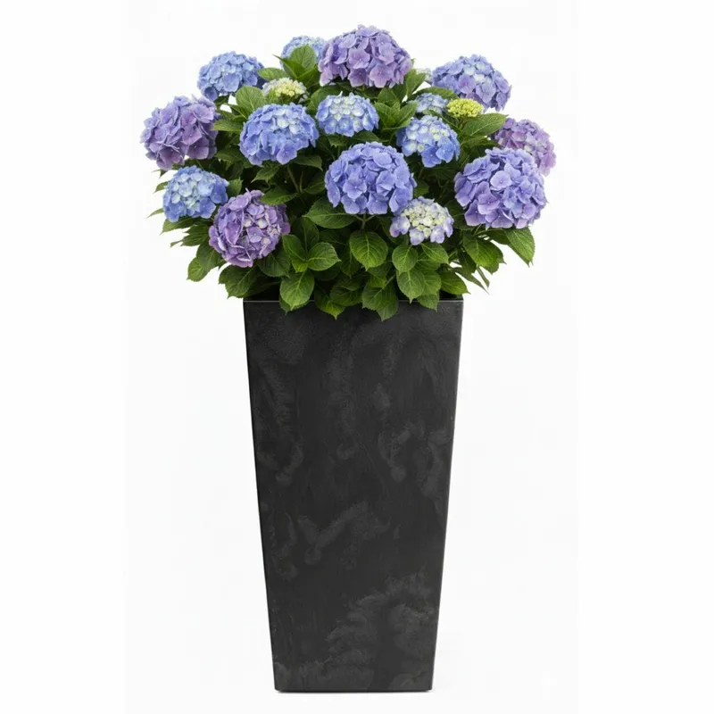 Donica Porto Beton H75X39,6X39,6 cm - Czarny
